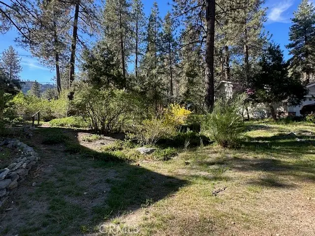 1725 Twin Lakes, Wrightwood, CA 92397 - #2