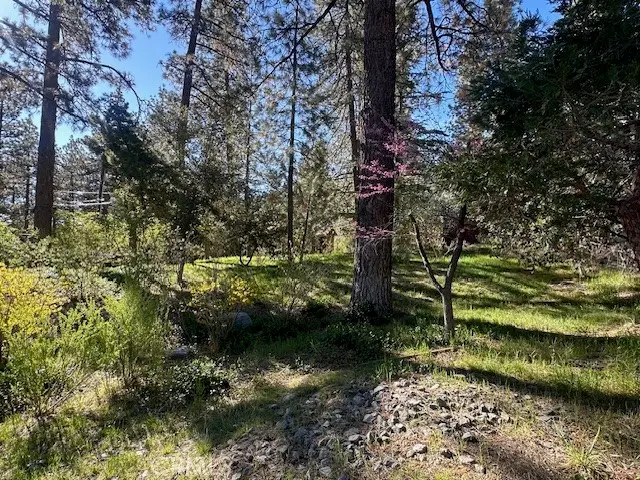 1725 Twin Lakes, Wrightwood, CA 92397 - #3