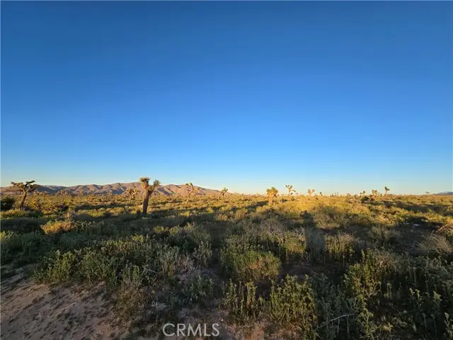55 Japatul Road, Apple Valley, CA 92308 - #1