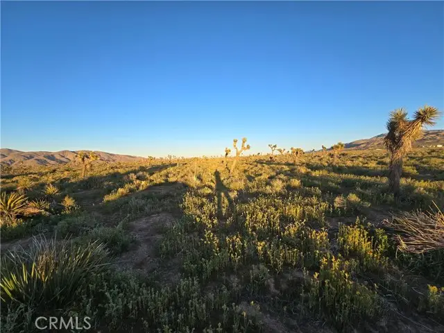 55 Japatul Road, Apple Valley, CA 92308 - #3