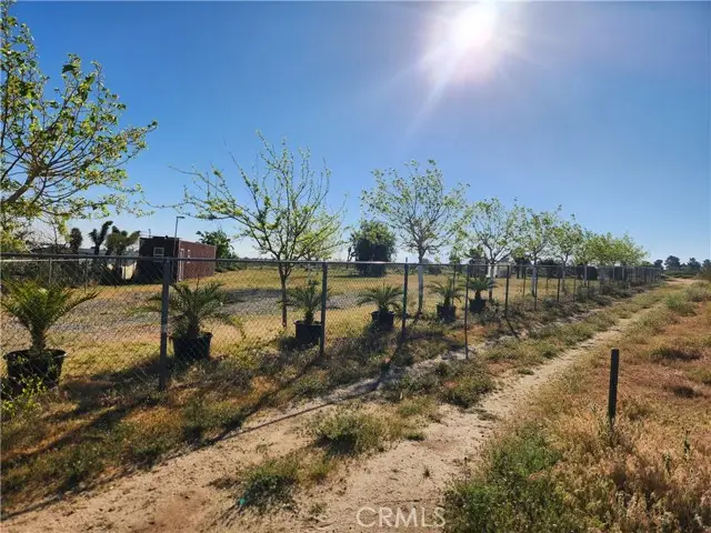 11391 Johnson, Phelan, CA 92371 - #2