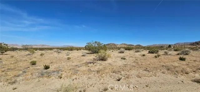 800 Pony, Landers, CA 92285 - #3