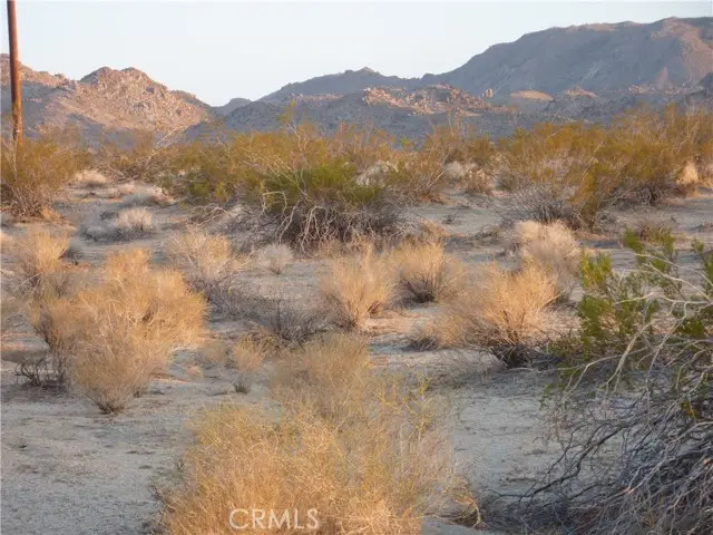 774 Manzanita Road, Landers, CA 92285 - #3