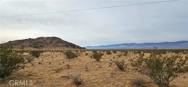800 Powerline Road, Lucerne Valley, CA 92356 - #3