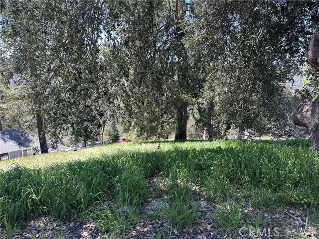 0 Elliot Road, Cedarpines Park, CA 92322 - Image #3