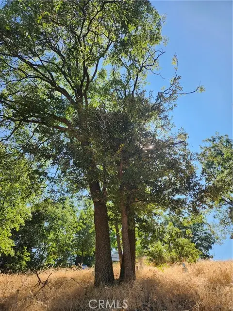 1563 Rock Ridge Drive, Lake Arrowhead, CA 92352 - #3