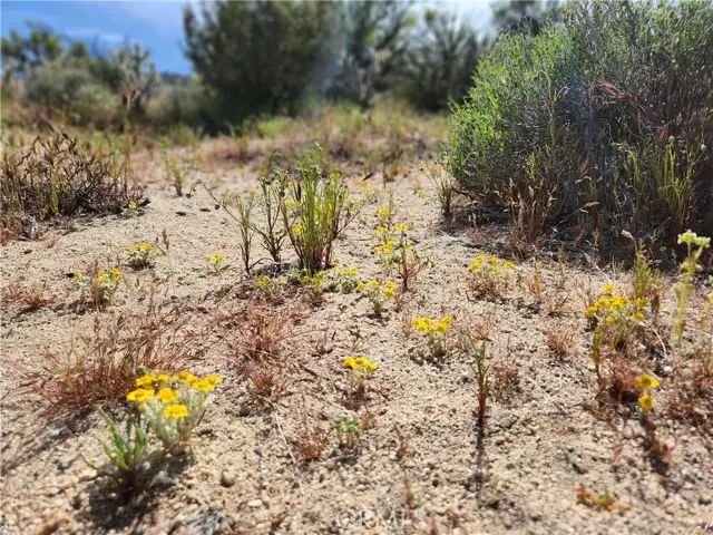 1 Sun Terrace, Mountain Center, CA 92561 - Image #3