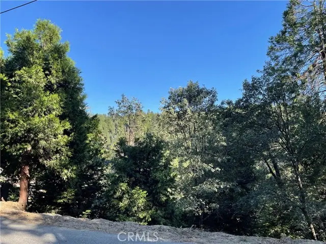 1098 Lot 1098 Victoria Court, Lake Arrowhead, CA 92352 - Image #3