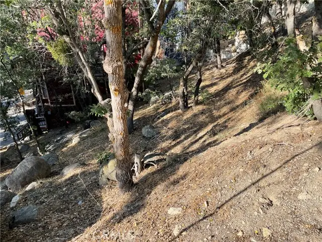 24 Lot 24 Conway Drive, Running Springs, CA 92382 - Image #3