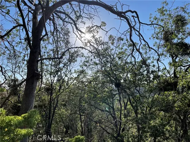 23 Lot 23 Music Camp Road, Green Valley Lake, CA 92382 - Image #3