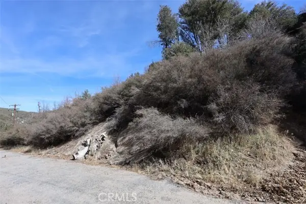 717 Acacia Road, Cedar Glen, CA 92321