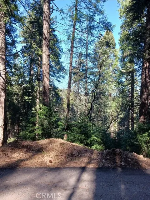 35 Spring Drive, Cedarpines Park, CA 92322 - #1