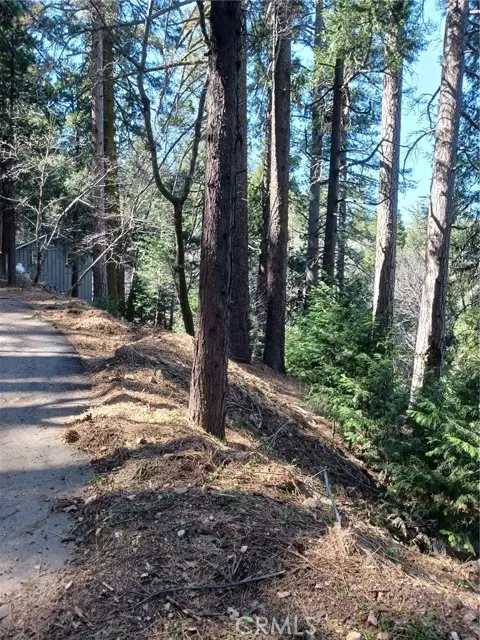 35 Spring Drive, Cedarpines Park, CA 92322 - #2