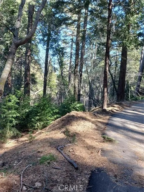 35 Spring Drive, Cedarpines Park, CA 92322 - #3