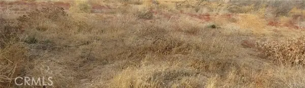 0 043-330-01-07-5 Twisselman Road, Lost Hills, CA 93249