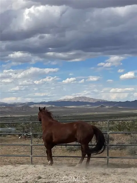 7077 Camp Rock Road, Lucerne Valley, CA 92356 - #1