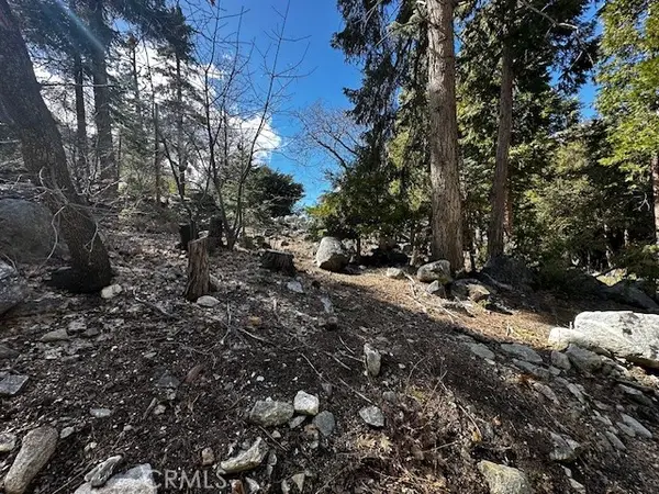 0 Fir, Forest Falls, CA 92339