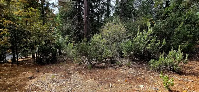 308 Pioneer Road, Lake Arrowhead, CA 92352 - #1