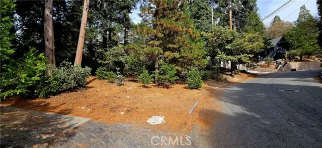 308 Pioneer Road, Lake Arrowhead, CA 92352 - #3
