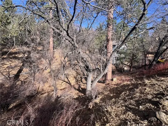 1230 S Minton Avenue, Big Bear City, CA 92314 - #2