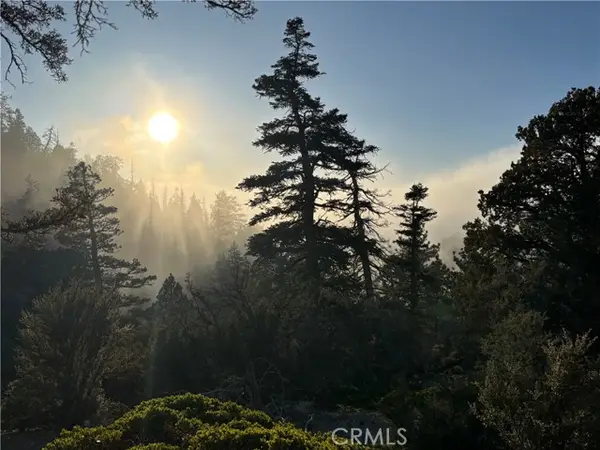 0 Ironwood, Angelus Oaks, CA 92305