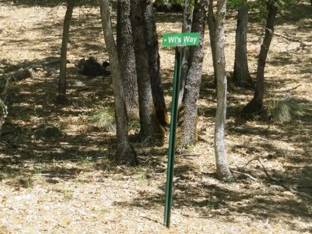 0 Bowerman Ridge Dr, Trinity Center, CA 96091 - Image #3