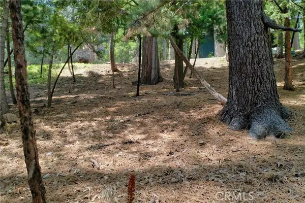 0 Terrace, Lake Arrowhead, CA 92352