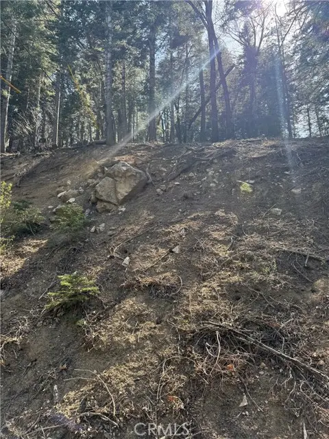 26537 Spyglass Drive, Lake Arrowhead, CA 92352 - #3