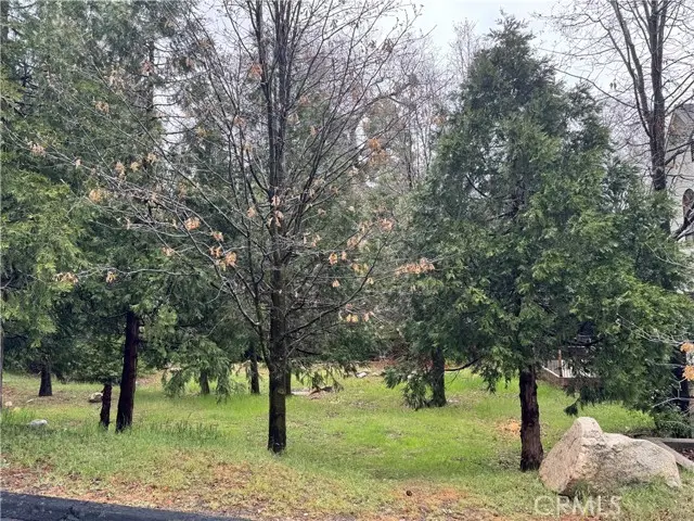 27525 Meadow Bay Drive, Lake Arrowhead, CA 92352 - #2