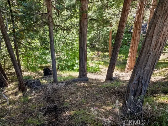 356 Ca-173, Lake Arrowhead, CA 92352 - #2