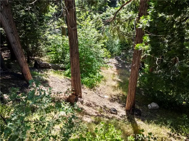 356 Ca-173, Lake Arrowhead, CA 92352 - #3