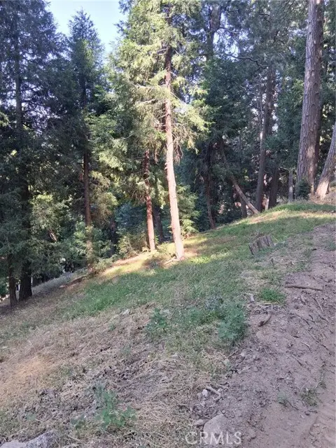 61 Evergreen Drive, Cedarpines Park, CA 92322