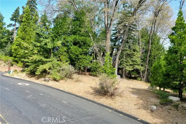 399 Cedar Ridge Drive, Lake Arrowhead, CA 92352 - Image #3