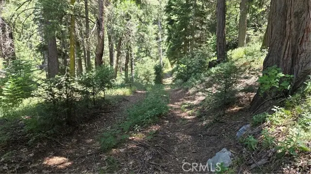 0 Deer Run Road, Cedarpines Park, CA 92322 - Image #3