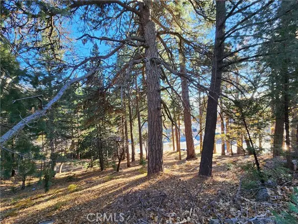 0 Lovers Lane, Rimforest, CA 92378