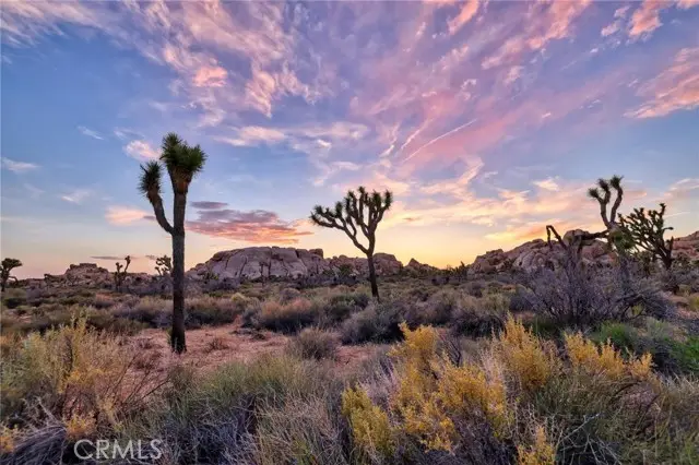 65076 E Broadway, Joshua Tree, CA 92252 - Image #2