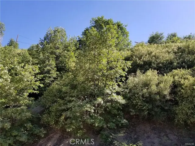 0 Elder Drive, Cedar Glen, CA 92321 - Image #2