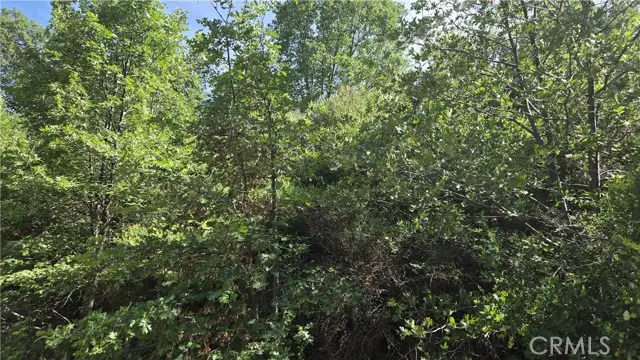 0 Elder Drive, Cedar Glen, CA 92321 - Image #3