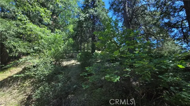 22494 Mojave River Road, Cedarpines Park, CA 92322 - Image #2