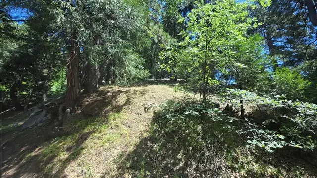 22494 Mojave River Road, Cedarpines Park, CA 92322 - Image #3