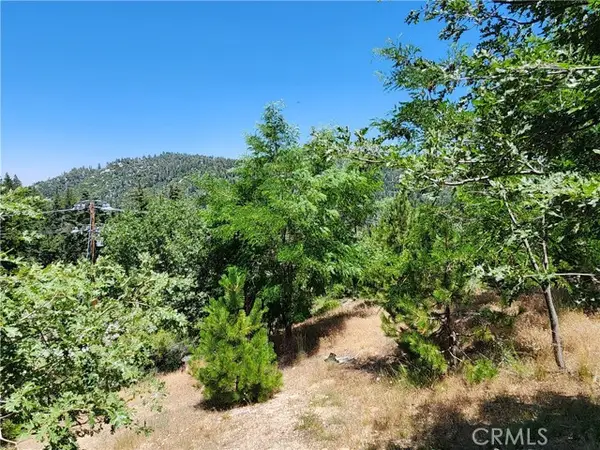 31912 Encina Way, Running Springs, CA 92382