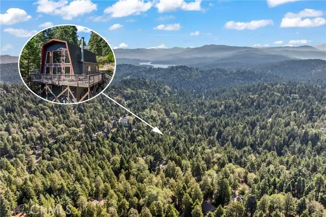 446 Cedarbrook Drive, Twin Peaks, CA 92391 - #2