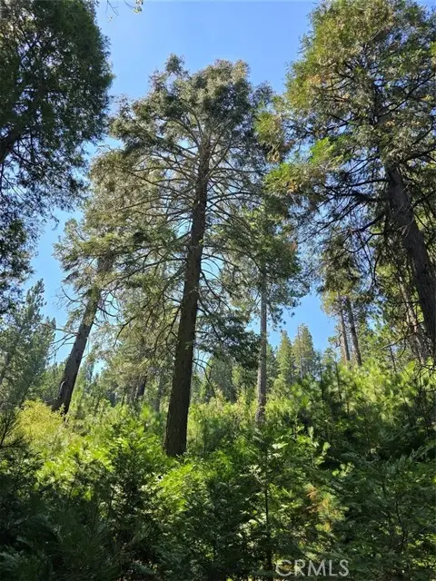 0 Lovers Lane, Cedarpines Park, CA 92322 - #1