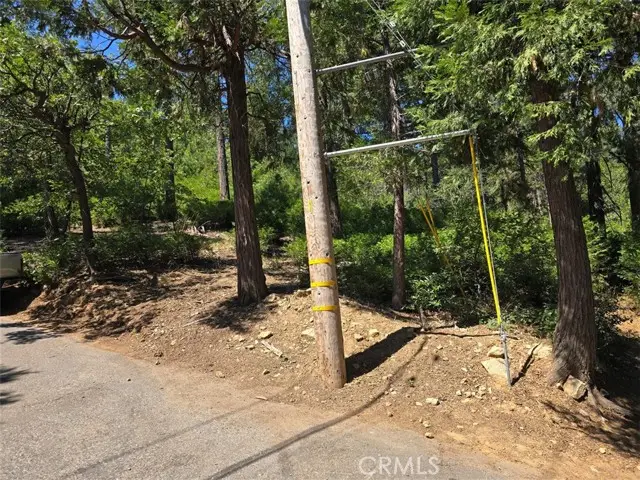 0 Lovers Lane, Cedarpines Park, CA 92322 - #3