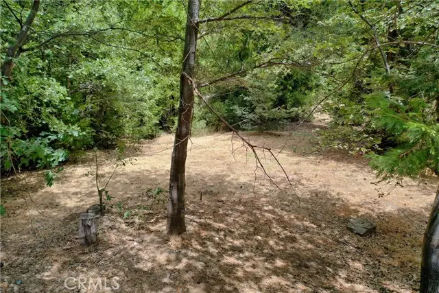 27513 Meadow Bay Drive, Lake Arrowhead, CA 92352 - Image #3