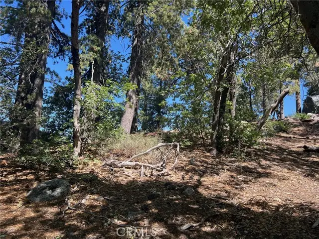 0 Tank Road, Apple Valley, CA 92308 - Image #1