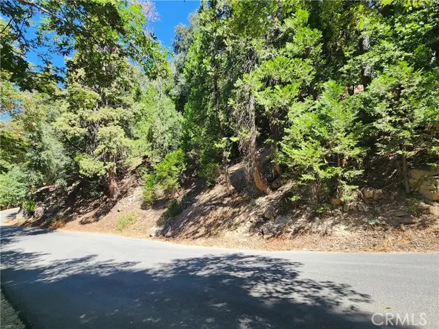 0 Valle Drive, Crestline, CA 92325 - #1