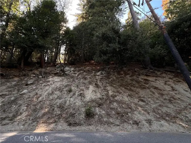 0 Lausanne, Crestline, CA 92325 - Image #3