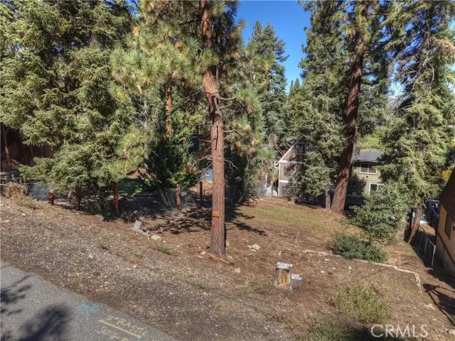 42994 Falls Avenue, Big Bear Lake, CA 92315 - #2