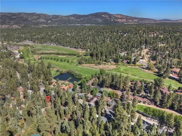 42994 Falls Avenue, Big Bear Lake, CA 92315 - #3